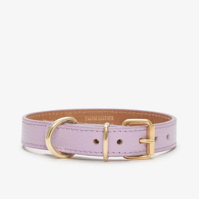 Boucle du collier pour chien Juno en cuir italien de vache en mauve lavande pastel de Branni Pets