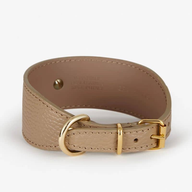 Collier pour chien en cuir pour lévrier, whippet de Branni Pets en taupe