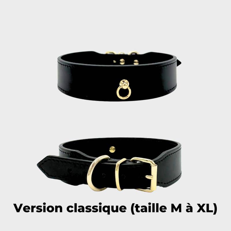 Collier Pour Chien En Nylon Rembourré - Motif Teckel - Réglable 27-40 Cm, Largeur 2 Cm - Doux Et Confortable - Noir/marron