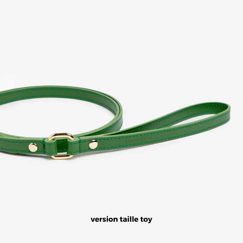 Poignée de la laisse pour chien en cuir italien en vert de Branni Pets en version toy pour les petits chiens