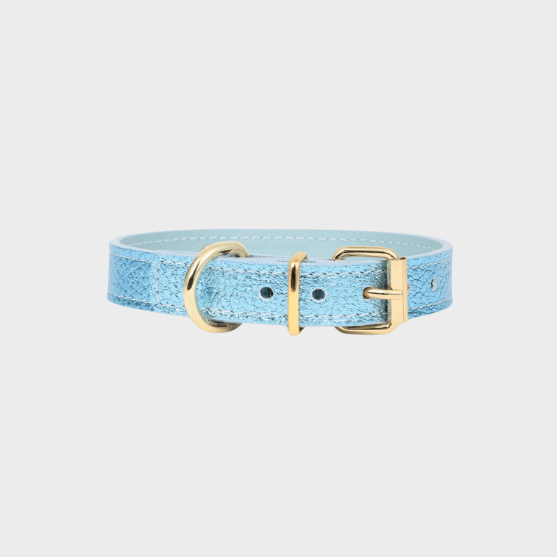Collier pour chien en cuir italien couleur bleu ciel metal de Branni Pets