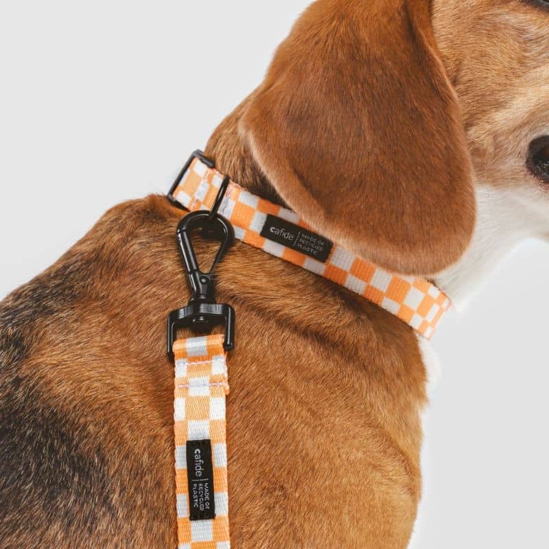 Détail du collier pour chien motif vichy orange pêche carreaux de la marque cafide