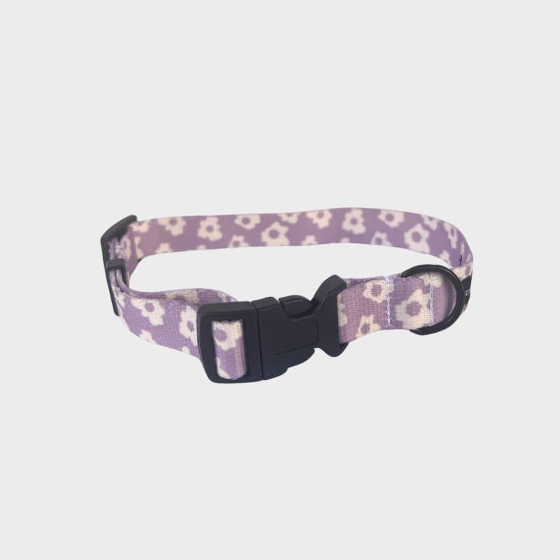 Collier pour chien motif Violet à fleurs de la marque cafide