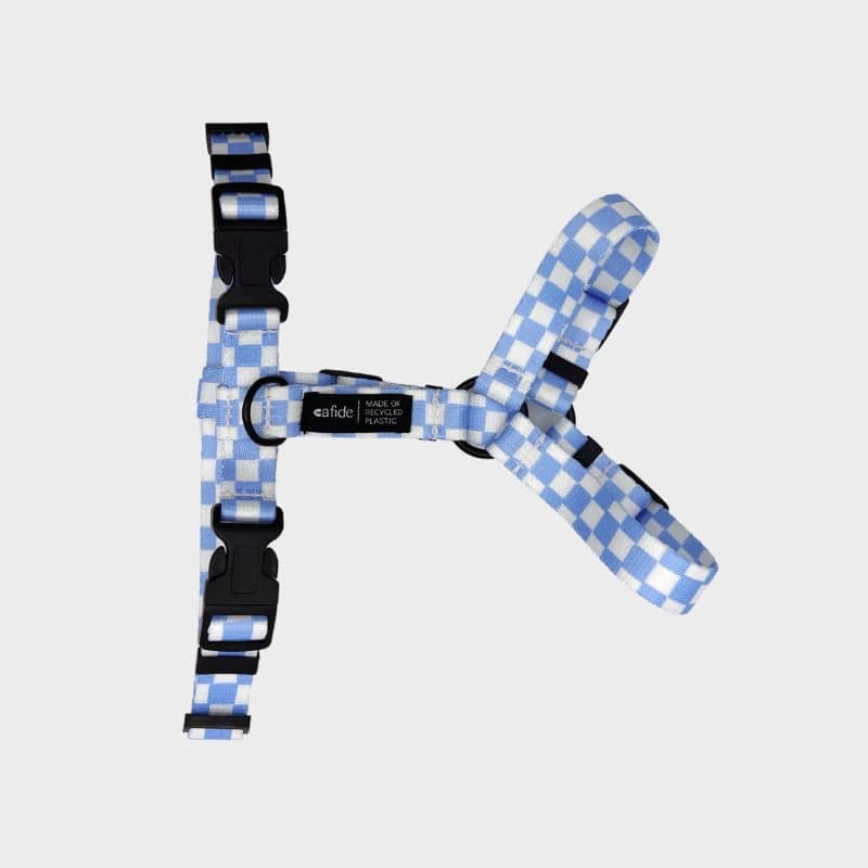 harnais strap pour chien de la marque cafide  de couleur bleu