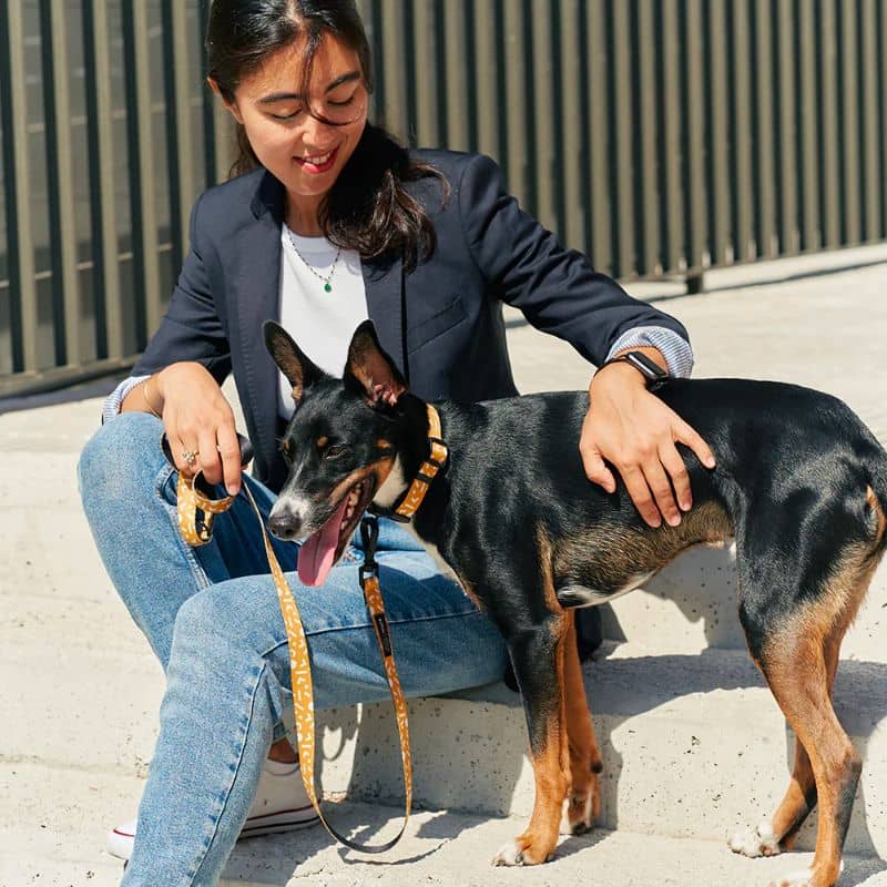 Laisse pour chien en tissu recyclé de Cafide