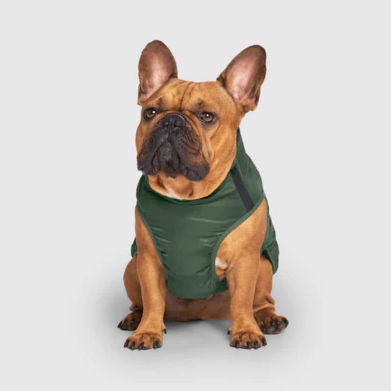 Veste pour chien chaude pour l'hiver en kaki de Canada Pooch