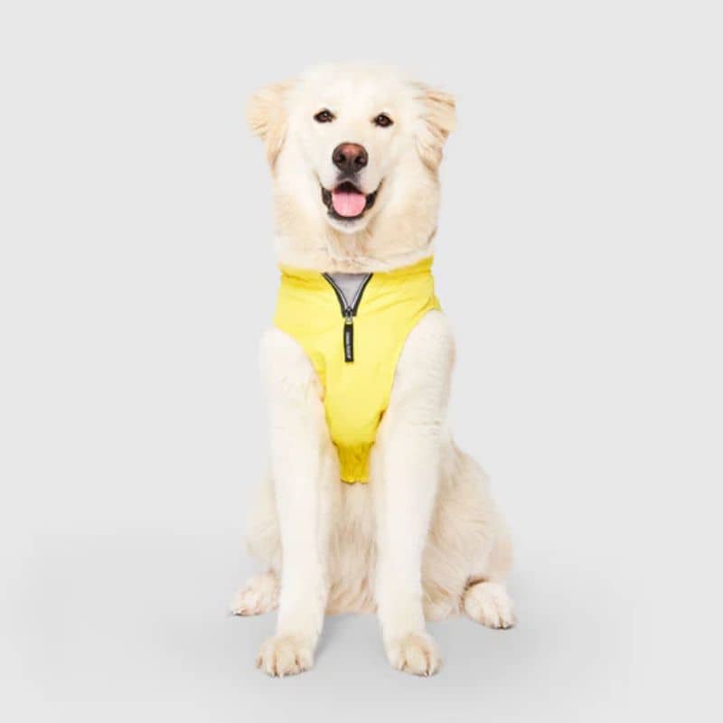 Chien de grande taille avec imperméable jaune qui s'ajuste sur la longueur de Canada pooch