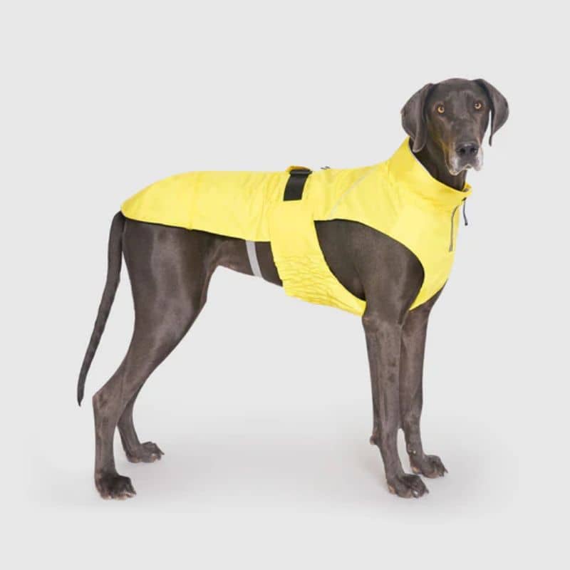 Chien de grande taille avec un imperméable confortable et facile à enfiler en jaune de Canada Pooch