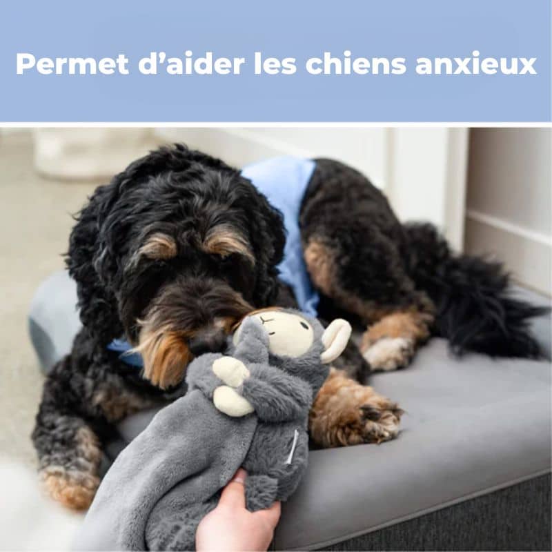 jouet apaisant lesté pour chien Canada Pooch : microbilles massantes qui rappelle une carresse