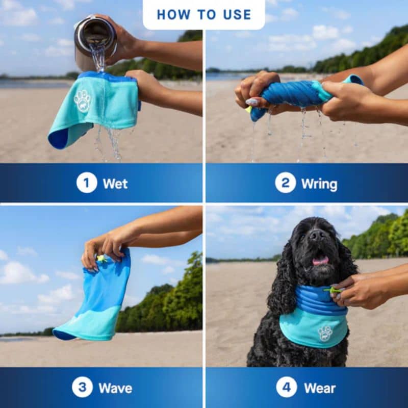 snood à mouiller pour rafraichir son chien l'été