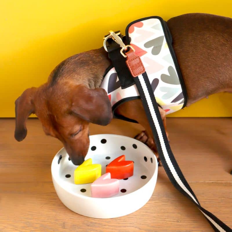 gamelle anti-glouton pour chien en céramique peinte à la main caroline gardner avec motifs polka dot pois et 3 coeurs en relief pour manger moins vite et améliorer la digestion