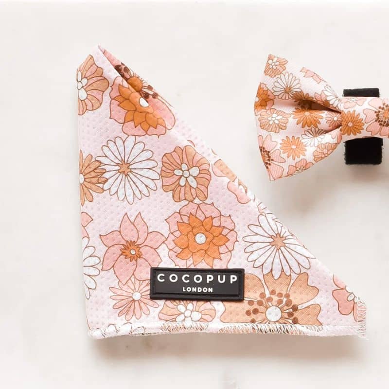 Détail du bandana rafraîchissant pour chien groovy florals de Cocopup london