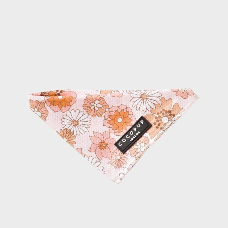 Bandana pour chien rafraîchissant motif fleurs groovy