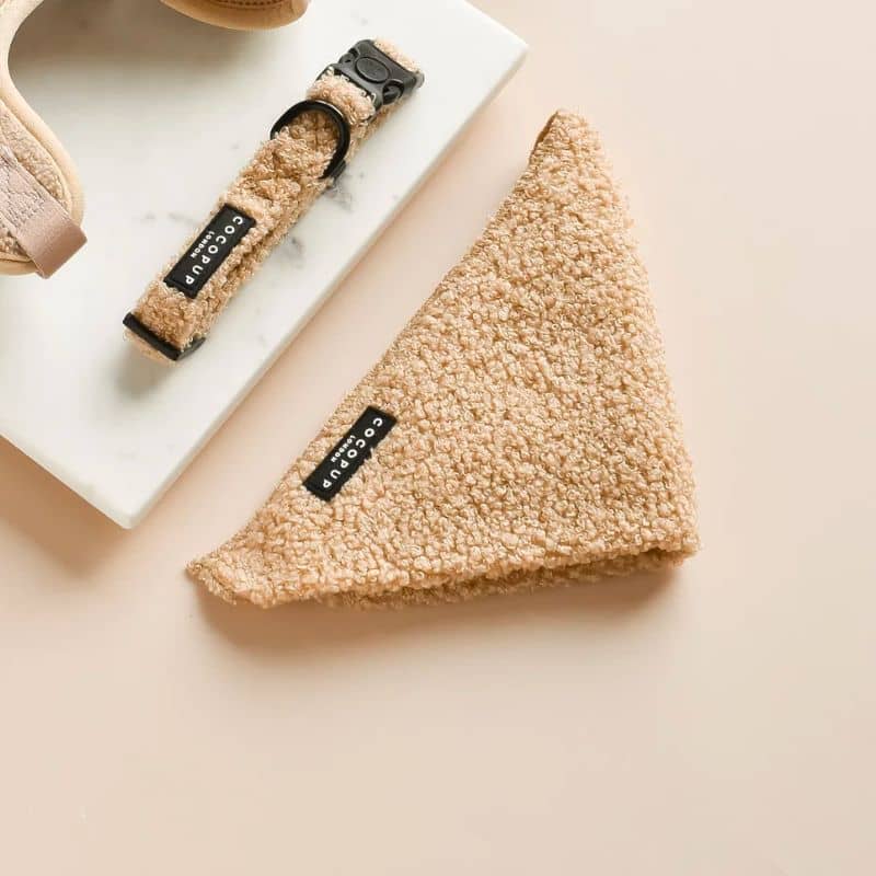 Collier pour chien teddy beige avec bandana assorti