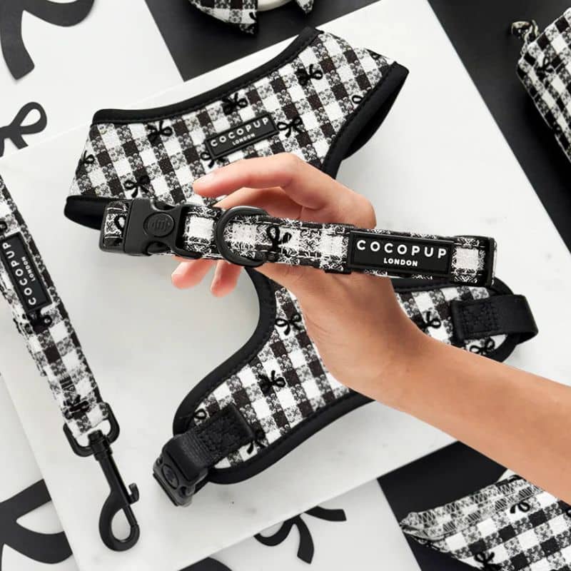 Collier pour chien en tissu motif vichy noir et blanc de Cocopup London - Pup in Paris