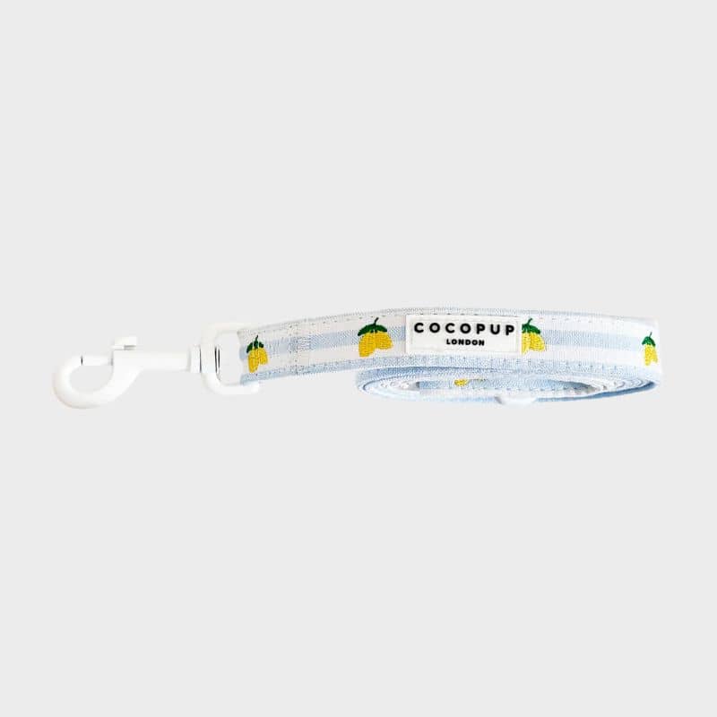 Laisse pour chien cocopup london collection living la vida lemon