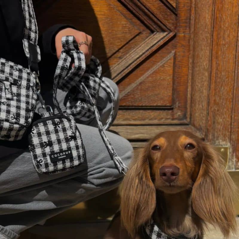 Laisse pour chien motif vichy noir et blanc de Cocopup London - collection Pup in Paris