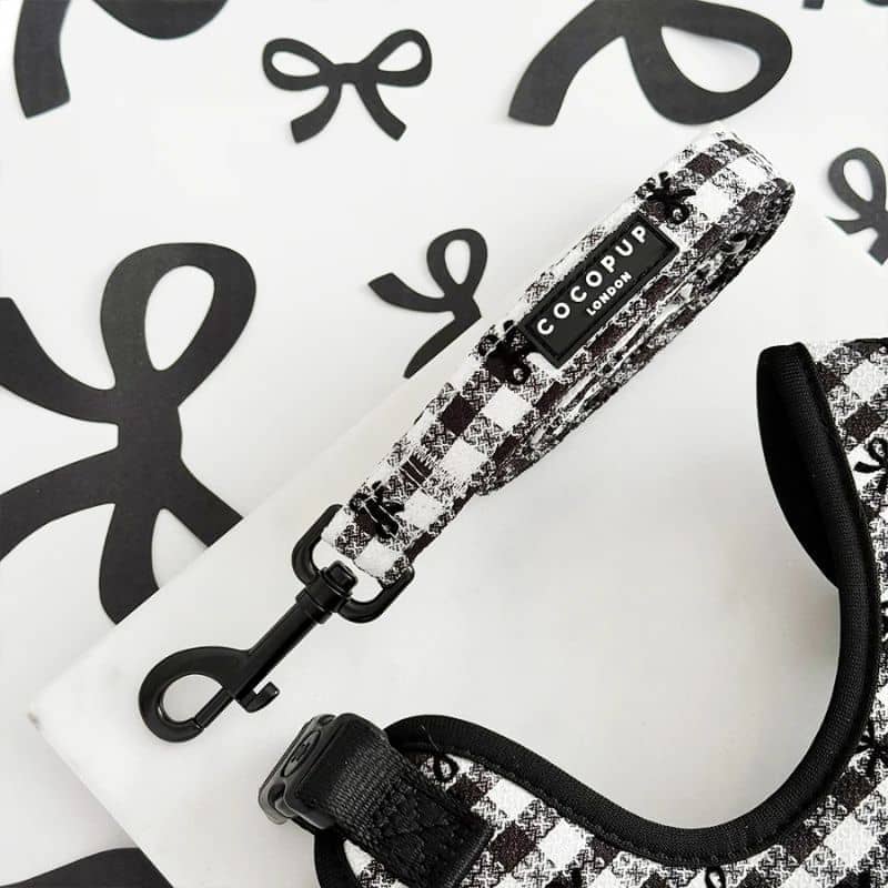 Laisse pour chien motif vichy noir et blanc de Cocopup London - collection Pup in Paris