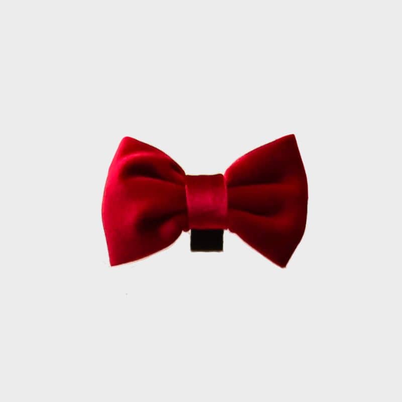 Noeud en velours rouge pour chien avec velcro pour se fixer à harnais ou collier