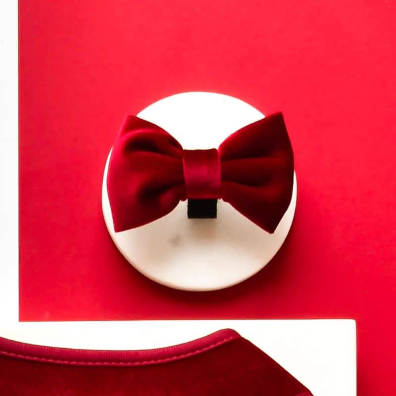 Détail du noeud papillon pour chien en velours rouge velvet