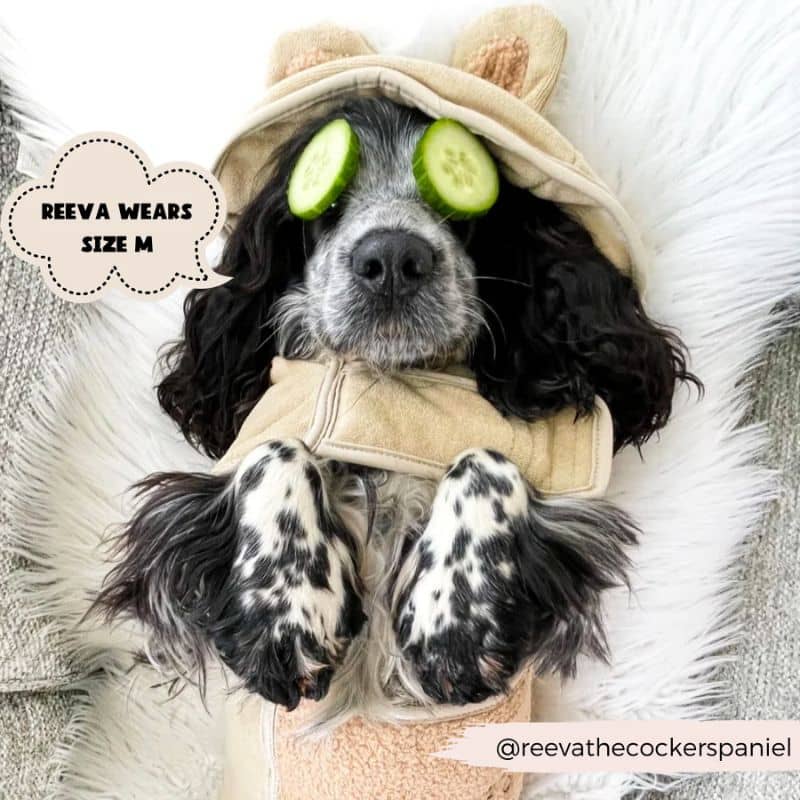 Cocker avec peignoir pour chien tout doux et absorbant avec oreille en forme d'ours