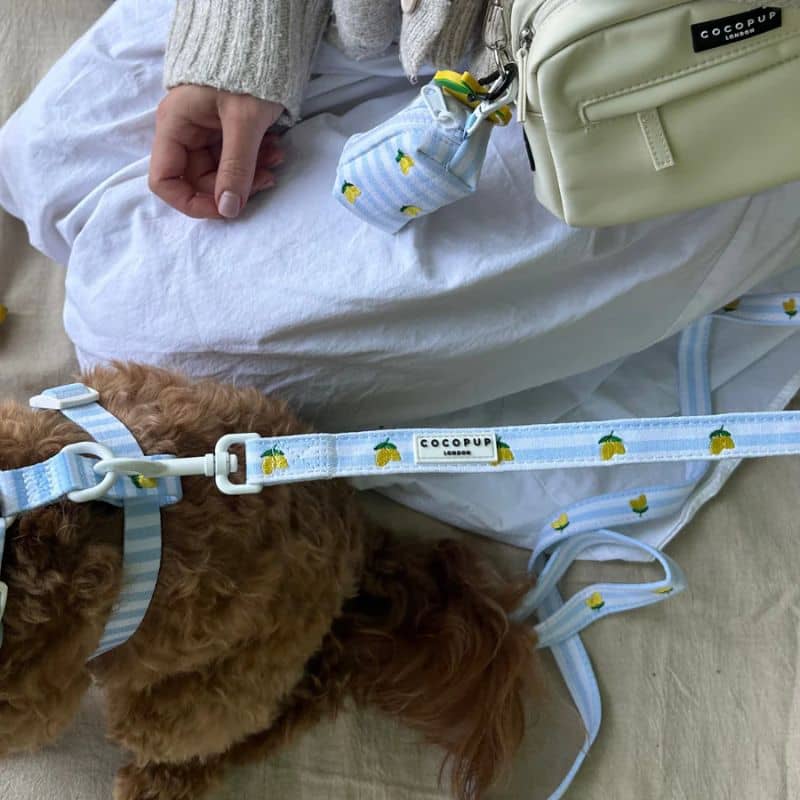 Collection avec distributeur de sac à déjection canine modèle living la vida lemon de Cocopup London