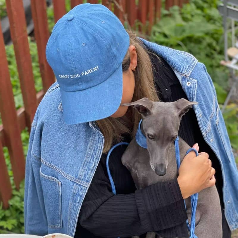 Casquette tendance chien pour les maîtres dog mom dog dad de collar of sweden