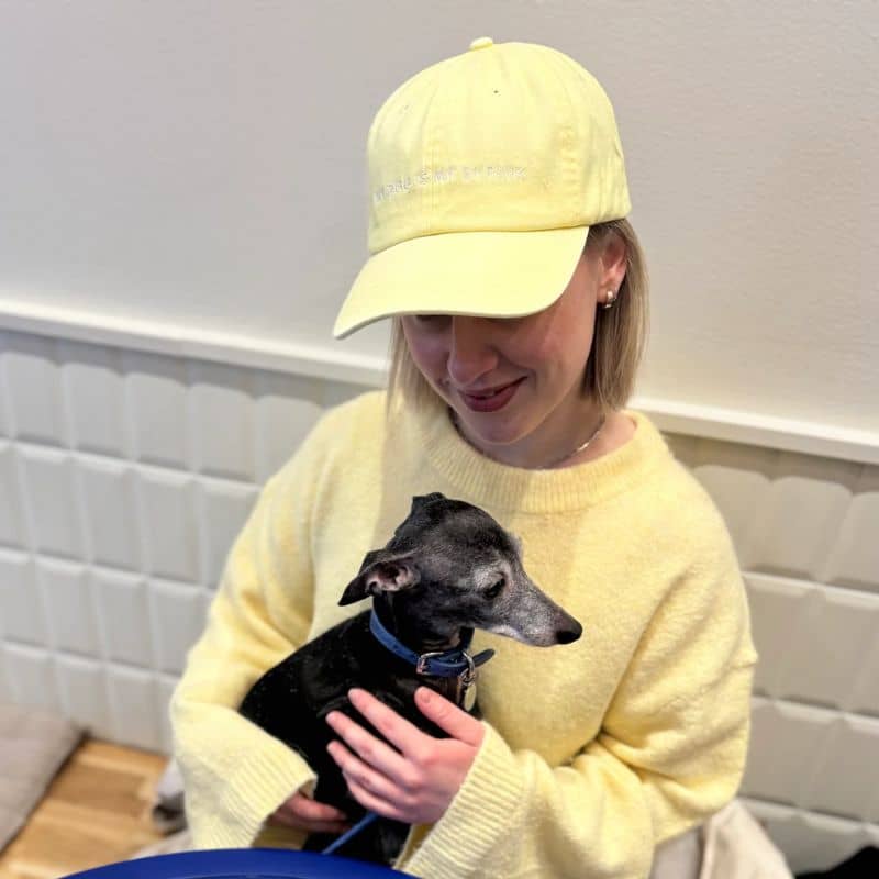 Casquette pour humain de la marque collar of sweden jaune avec l'inscription my dog is my shrink