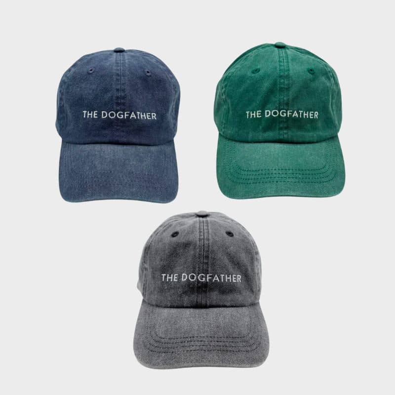 Casquette the dogfather en bleu , en noir et en vert de Collar of Sweden
