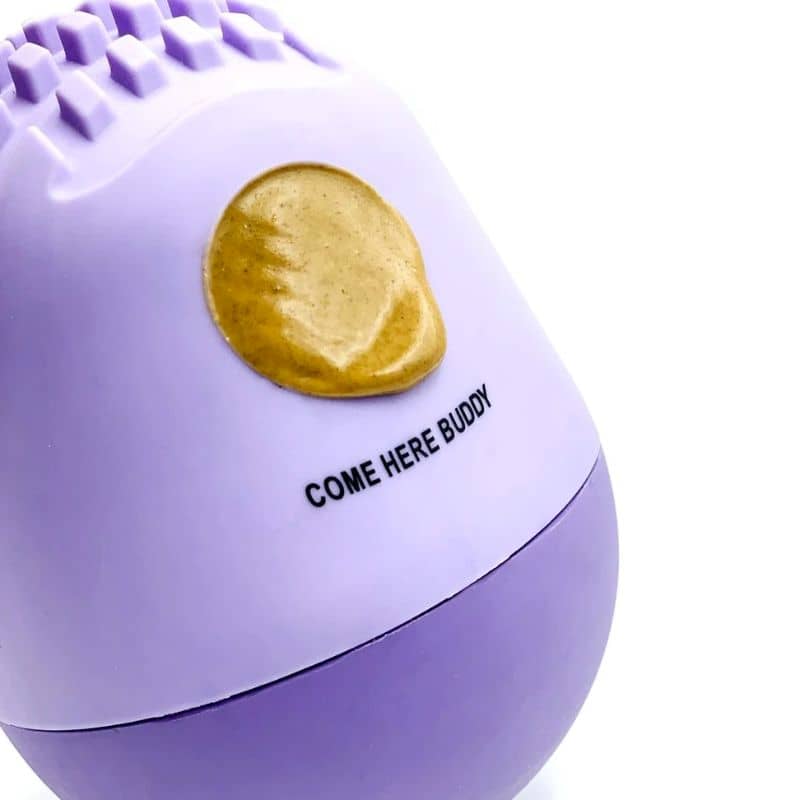 Come Here Buddy lavender lilas - jouet interactif et d'occupation pour chien qui distribue des friandises ou des croquettes avec la possibilité d'y tartiner du peanut butter 
