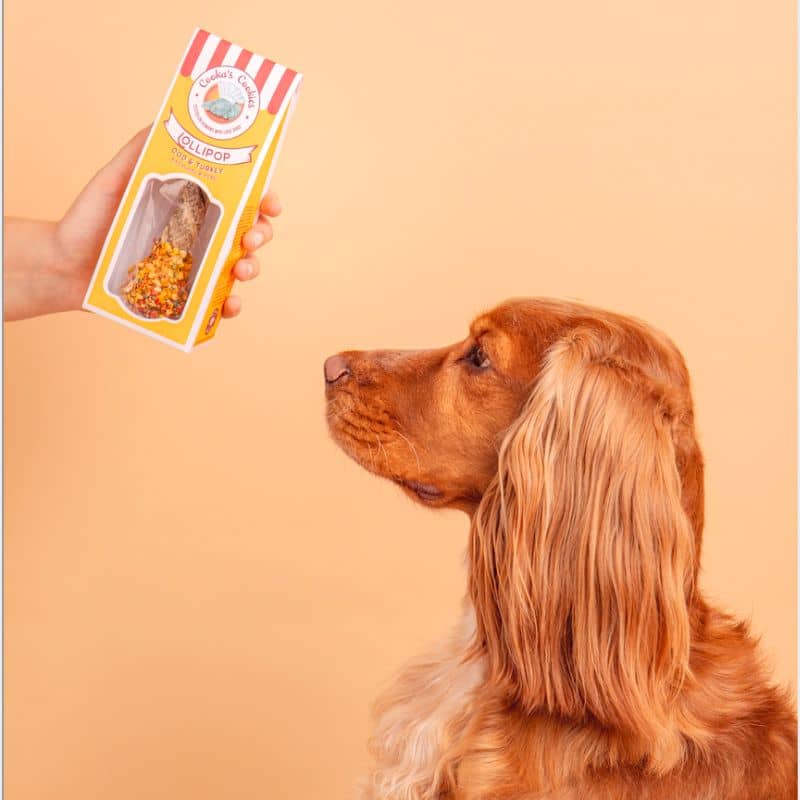 friandise pour chien en forme de sucette avec peau de morue et viande de dinde "Lollipop" Cooka's Cookies