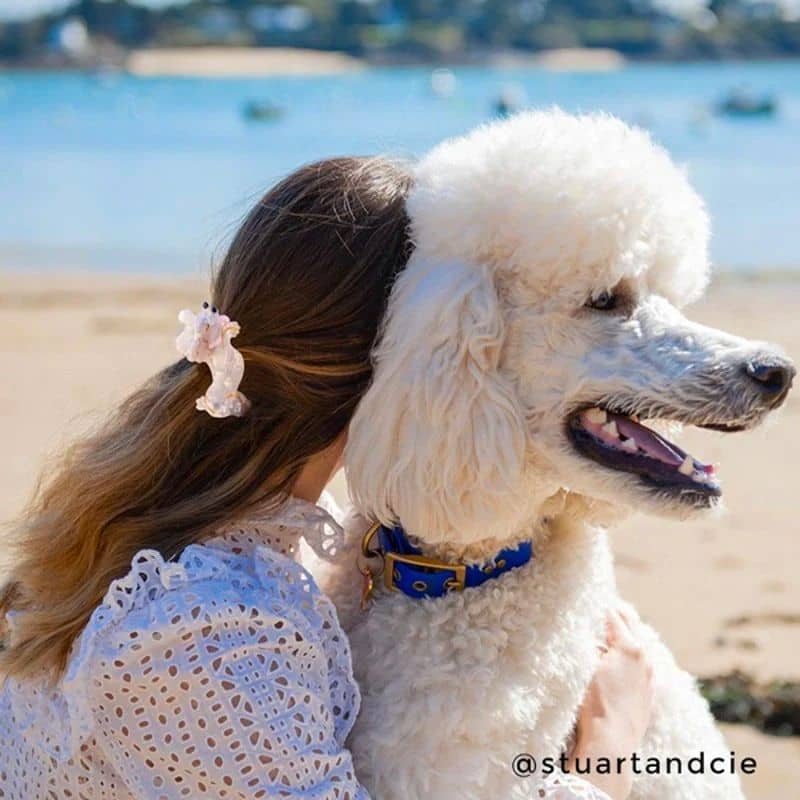 Pince à cheveux en forme de caniche de coucou suzette