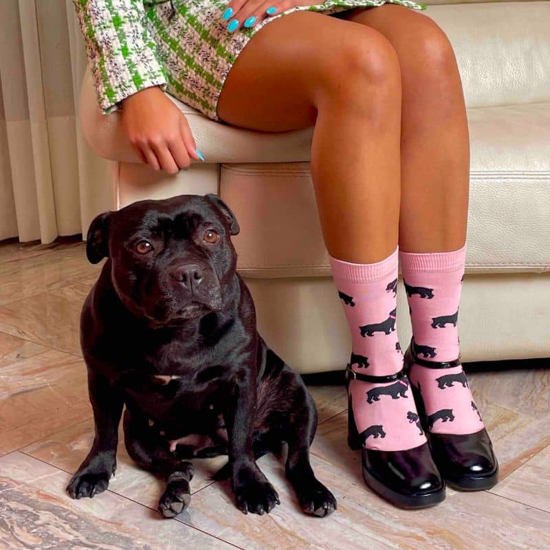 CHAUSSETTES COTON COUCOU SUZETTE STAFFIE – THE WOUF