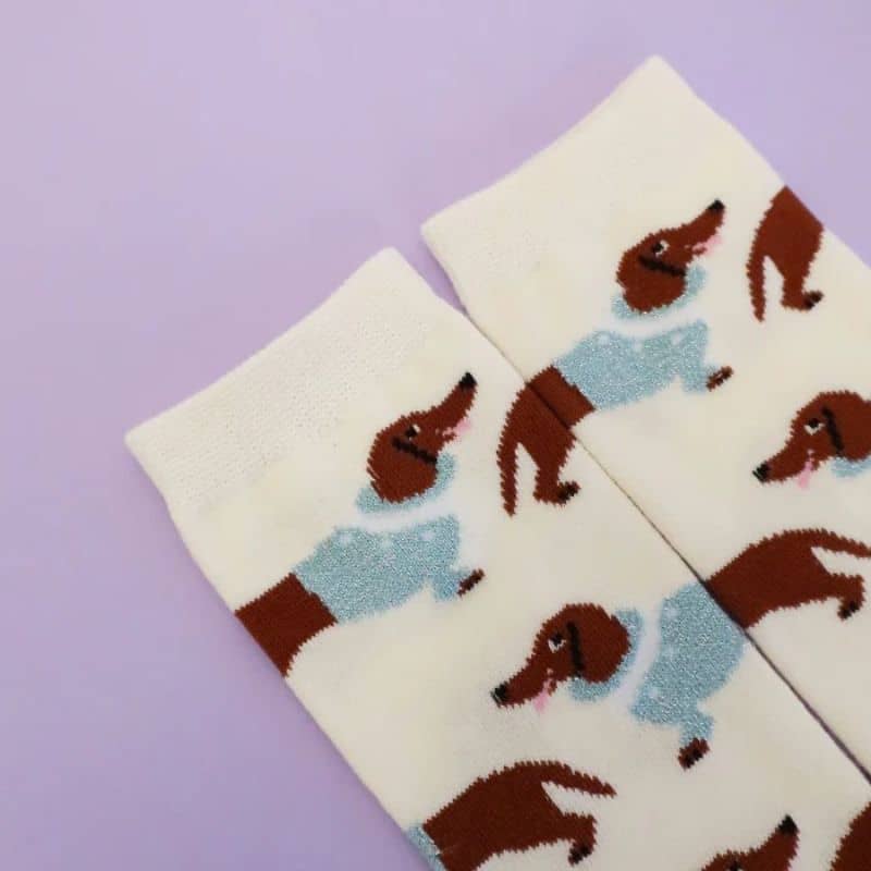Chaussettes à paillettes teckel frileux de la marque Coucou Suzette de couleur écru pour un cadeau à un humain avec un chien saucisse et son pull en coton