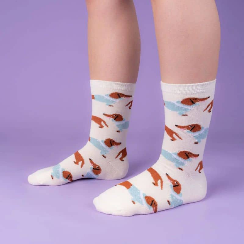 Chaussettes teckel frileux de la marque Coucou Suzette de couleur écru pour un cadeau à un humain avec un chien saucisse et son pull