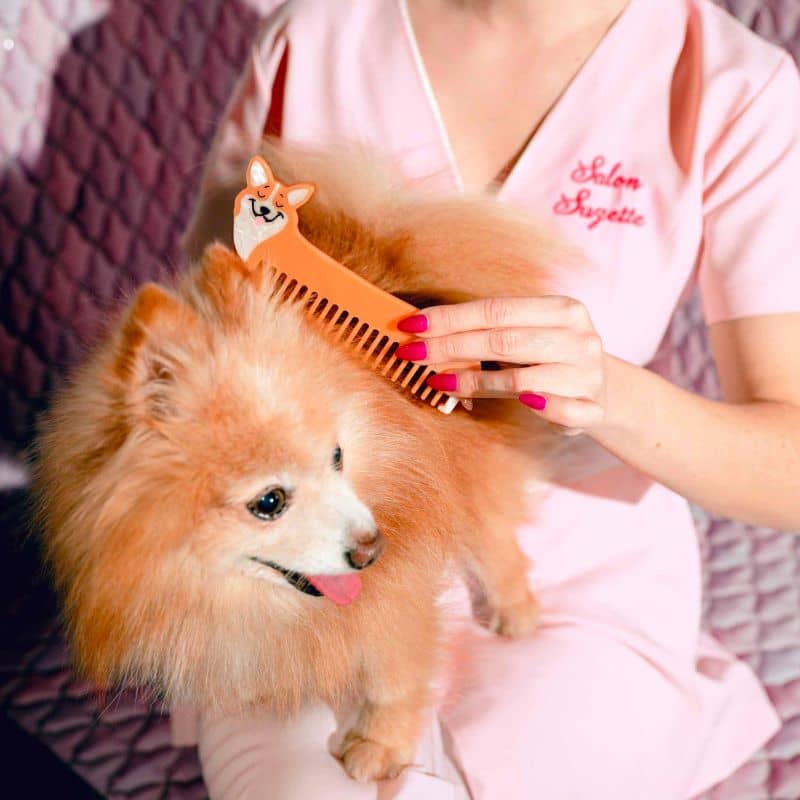 Peigne en forme de corgi pour cheveux de coucou suzette