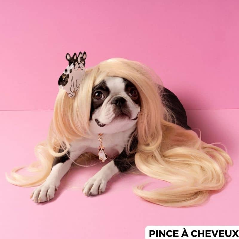 Bouledogue français avec pince à cheveux en forme de chien de coucou suzette