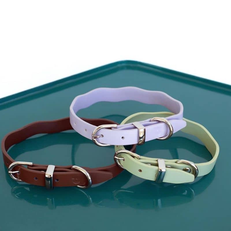 Collier pour chien en cuir vegan en marron, vert et lilas