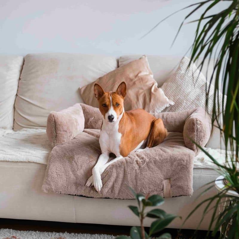 LIT POUR CHIEN PROTECTION DE CANAPÉ - NUZZLE SOFA BED DISTRICT 70 – THE WOUF