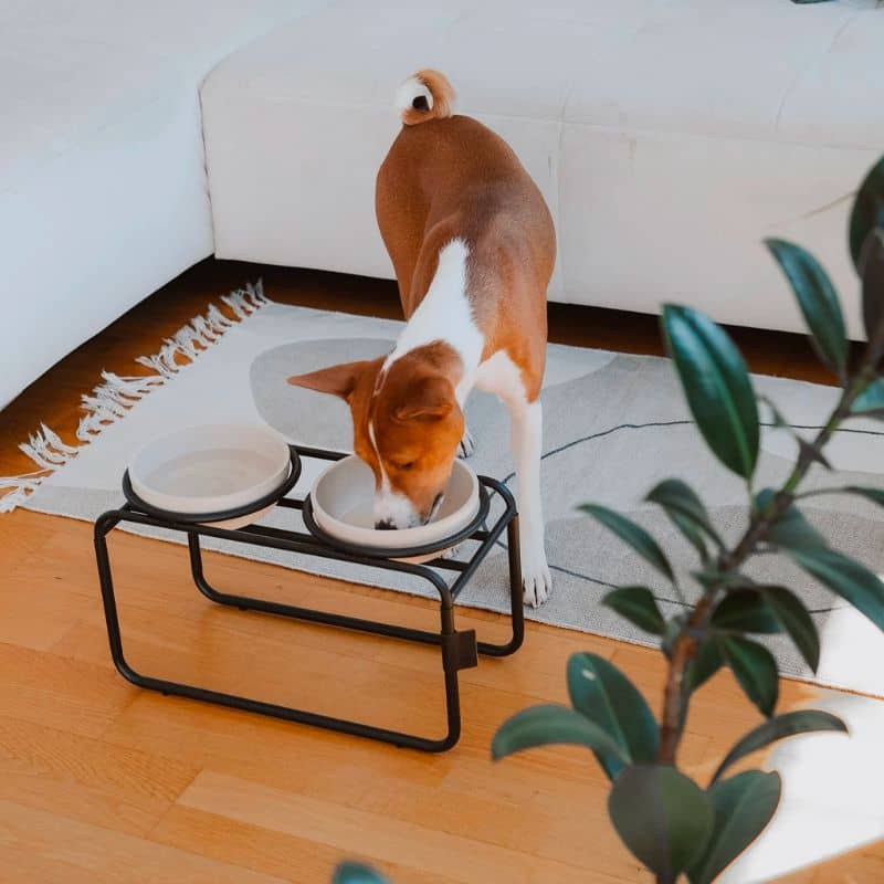 support de gamelle en acier compatible avec les gamelles en bambou District 70. Le Butler bowl stand permet de manger surélevé ce qui aide à la digestion (taille M)