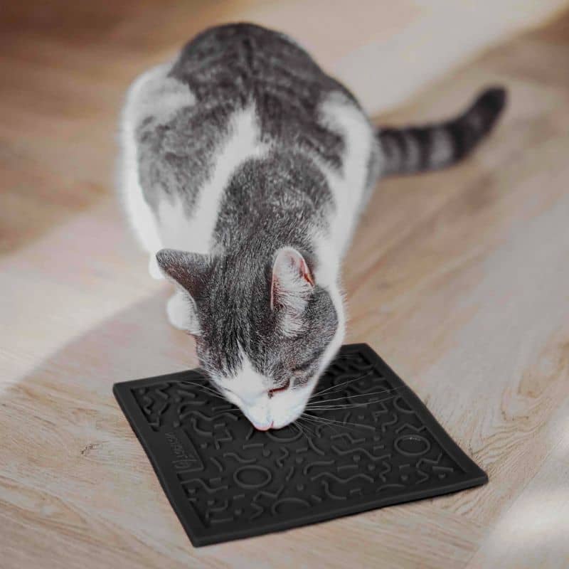 tapis de léchage xl pour chien et chat "quest lick mat District 70"