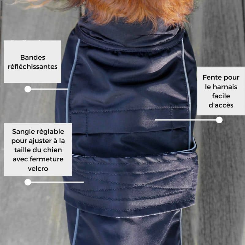 Imperméable pour chien facile à enfiler et coupe vent en noir de Django