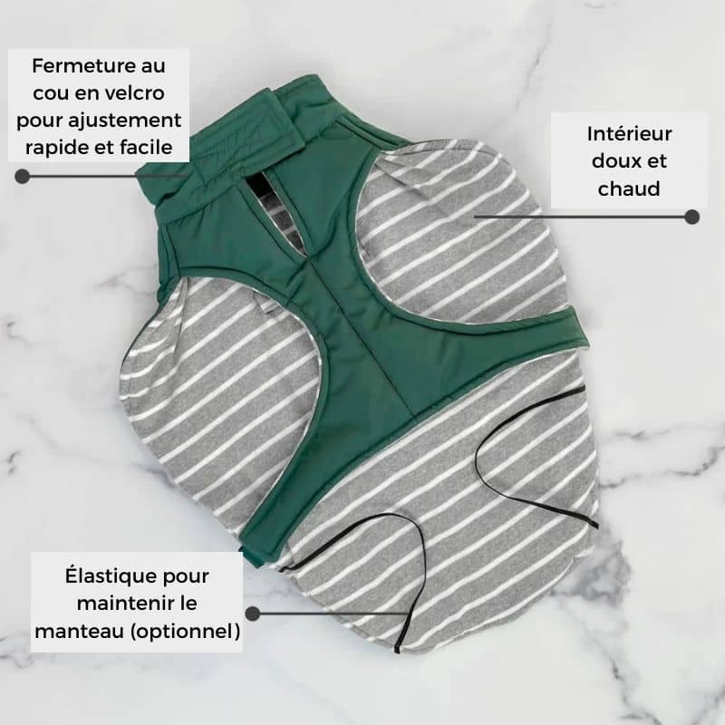 Manteau pour chien chaud, waterproof et chaud pour l'hiver