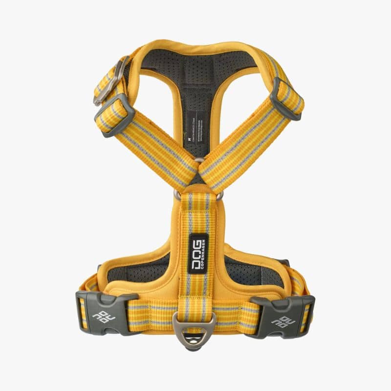 harnais dog copenhagen pour chien en Y couleur lemon jaune citron qui respecte l'anatomie