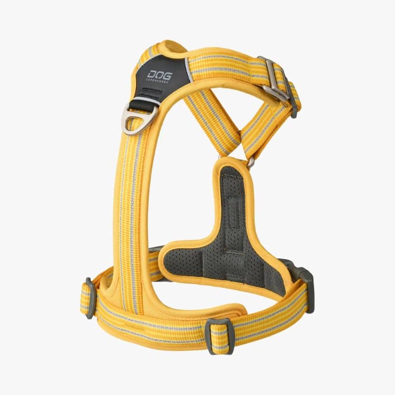 harnais dog copenhagen pour chien en Y couleur lemon jaune citron avec deux anneaux d'attache