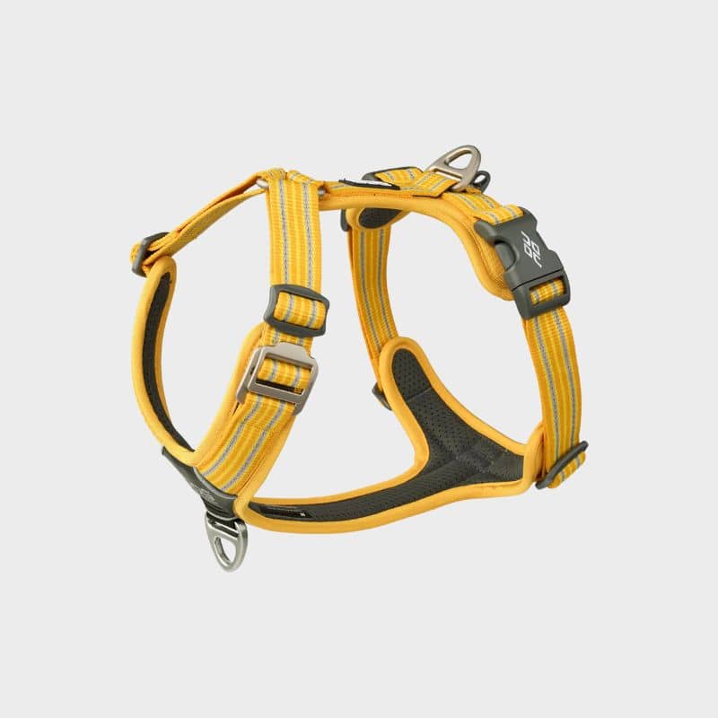 harnais dog copenhagen pour chien en Y couleur lemon jaune citron