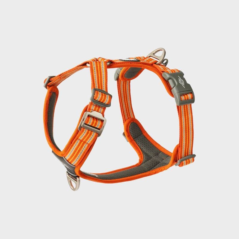 Gilet de sauvetage pour chiens | Safe life jacket 2.0 – Non-stop dogwear Gilet de sauvetage pour chiens | Safe life jacket 2.0 – Non-stop dogwear