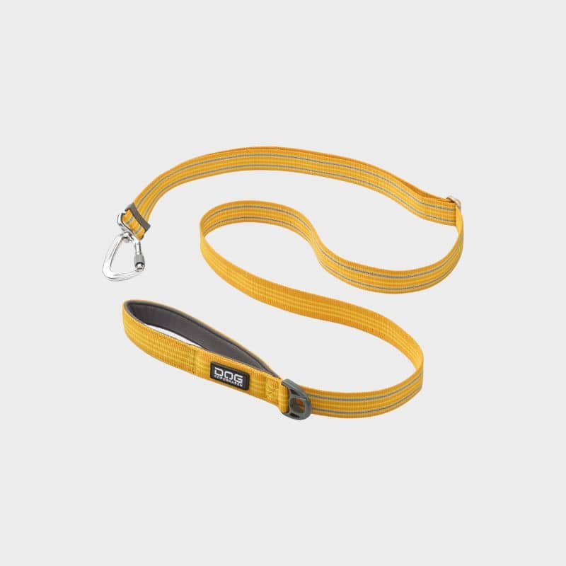 Laisse urban freestyle dog copenhagen pour chien de la couleur lemon jaune citron