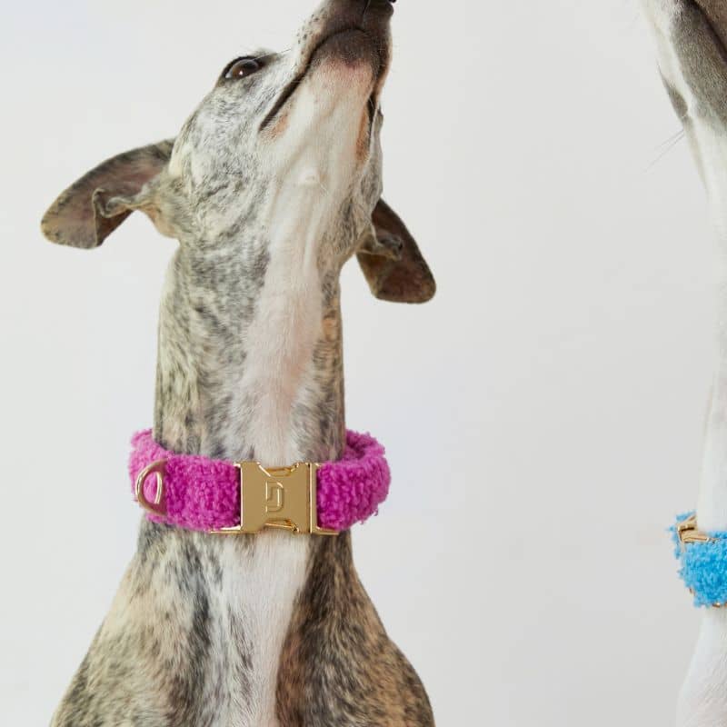 Collier pour chien rose moumoute rose tendance