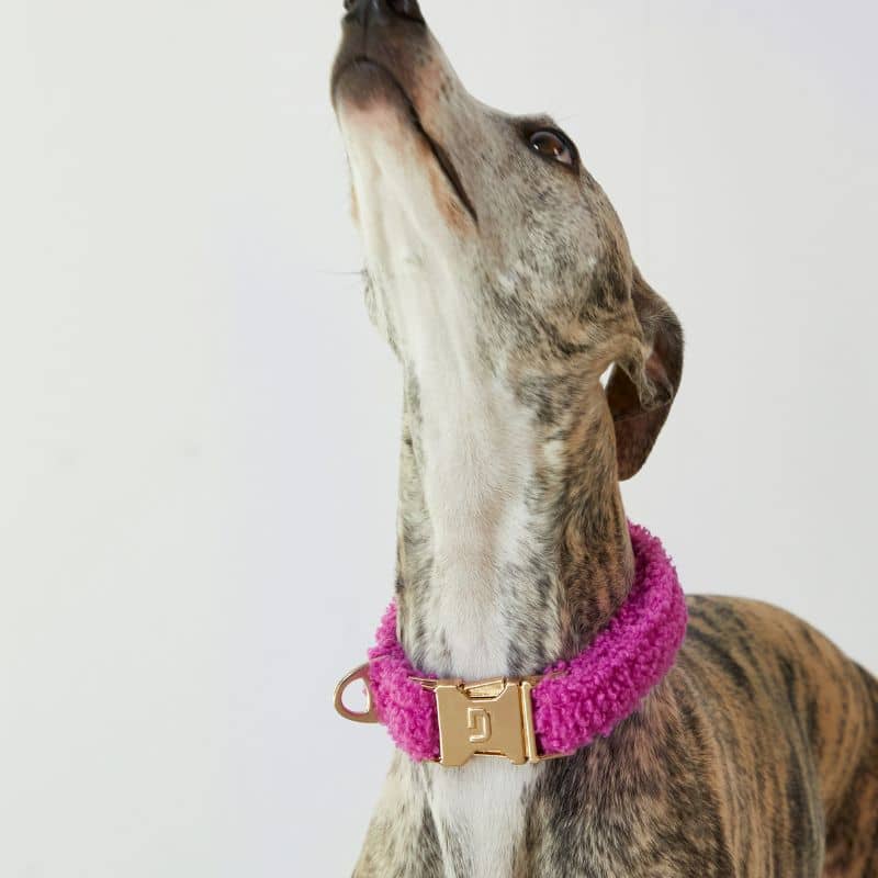 Collier pour chien tendance rose moumoute Dogguo